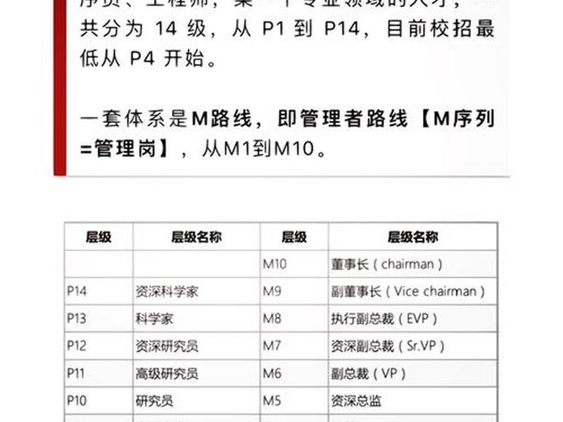 seo是什么职业岗位类别;seo是什么职业岗位类别的 seo是什么职业岗位类别;seo是什么职业岗位类别的