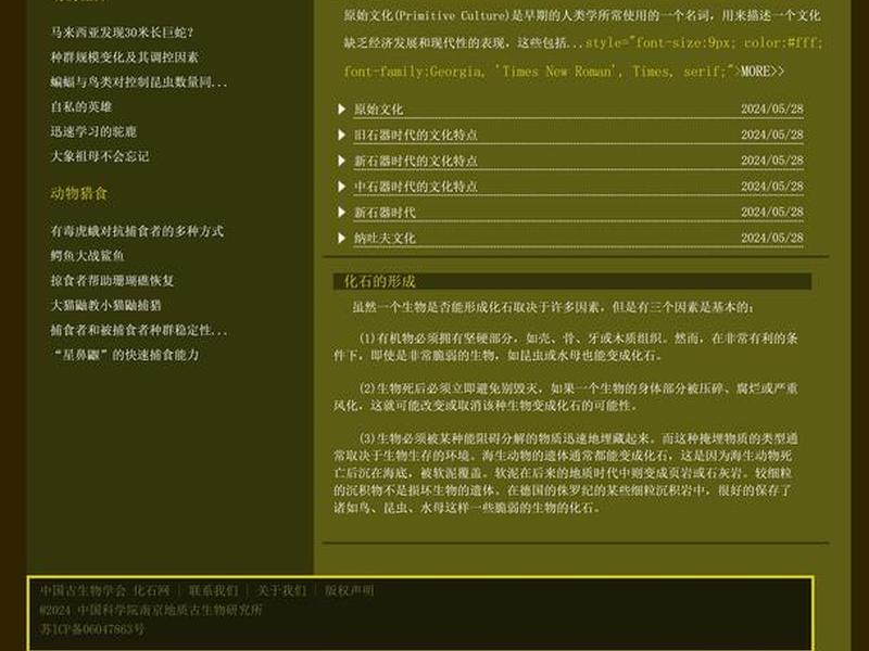 html网页制作期末大作业优秀案例、html网页制作期末大作业报告 html网页制作期末大作业优秀案例、html网页制作期末大作业报告
