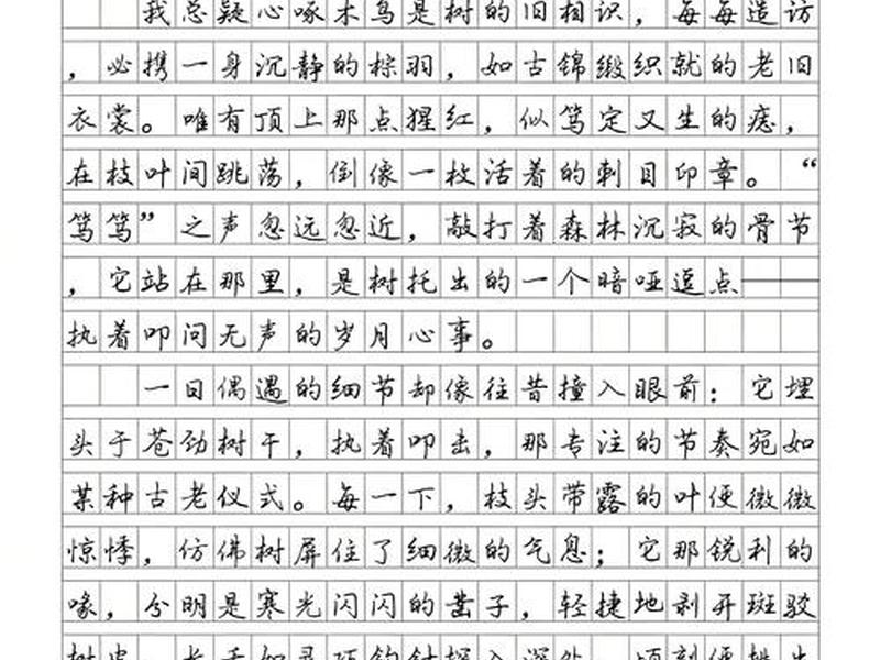 360作文网站、360作文网下载 360作文网站、360作文网下载