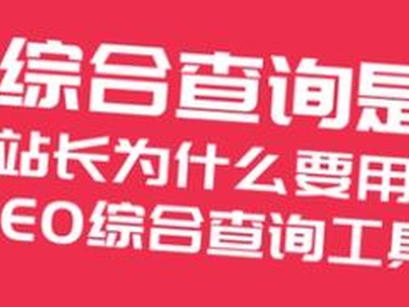 seo综合查询怎么填写（seo综合查询怎么用的）