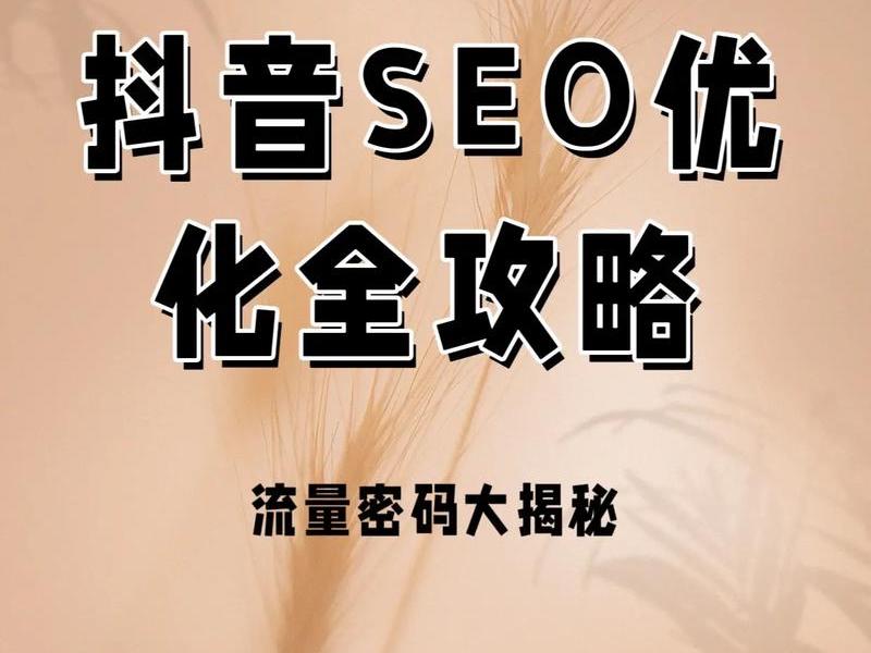 seoli - seo流量是什么意思 seoli - seo流量是什么意思
