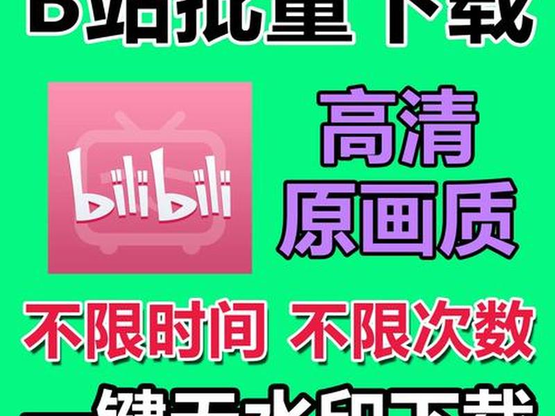 b站上的视频怎么下载 b站上的视频怎么下载到u盘 b站上的视频怎么下载 b站上的视频怎么下载到u盘
