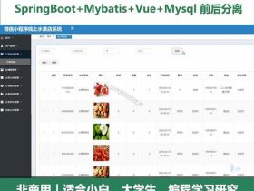 blazor开发微信小程序、hbuilderx开发微信小程序用什么语言