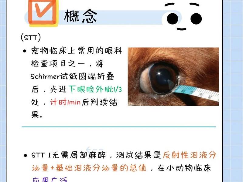 scrm软件测试难吗,schirmer测试 scrm软件测试难吗,schirmer测试