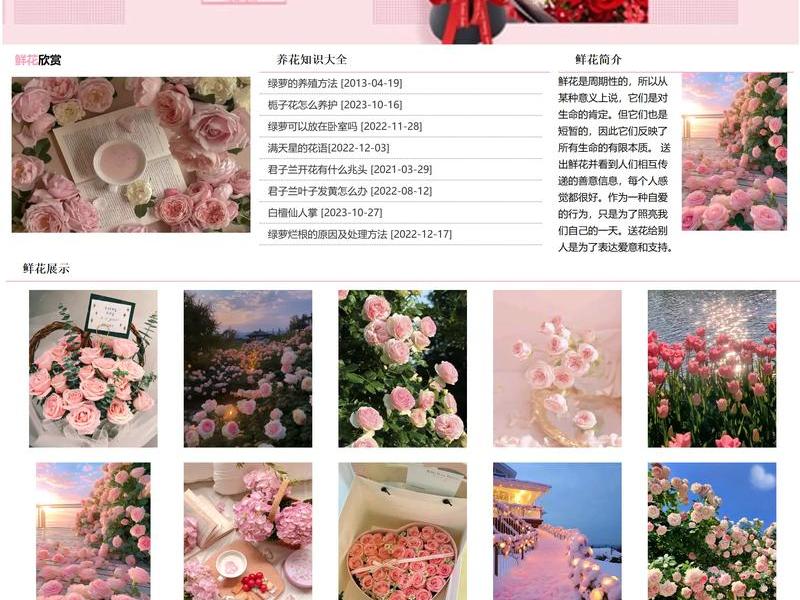 dw网页设计运行（dw网页设计与制作步骤）