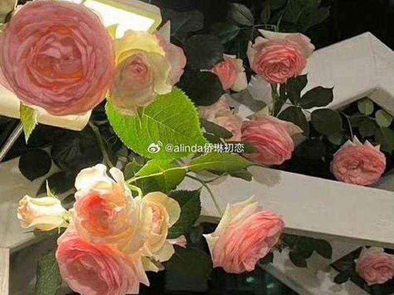 seo综合查询;seo综合查询工具 seo综合查询;seo综合查询工具