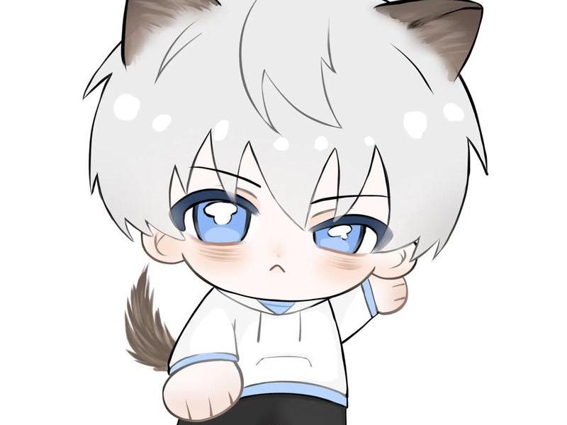 qq qq