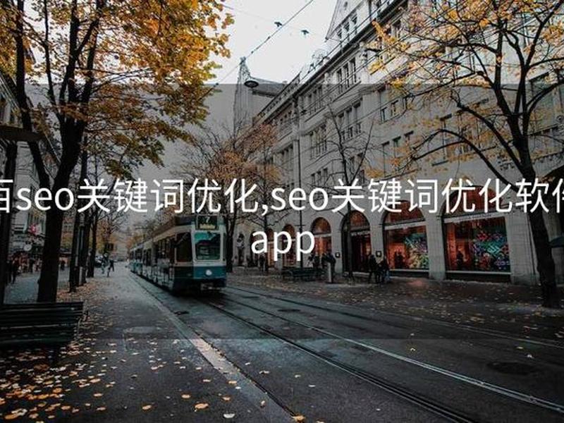 seo关键词推广优化软件(seo关键词优化软件app) seo关键词推广优化软件(seo关键词优化软件app)