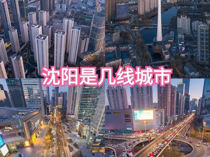 2月12日沈阳网 2020年2月11日沈阳 2月12日沈阳网 2020年2月11日沈阳