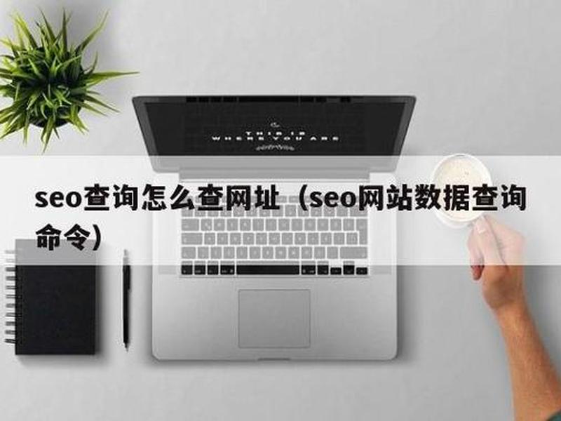 seo综合查询是啥意思 - seo综合查询是什么意思
