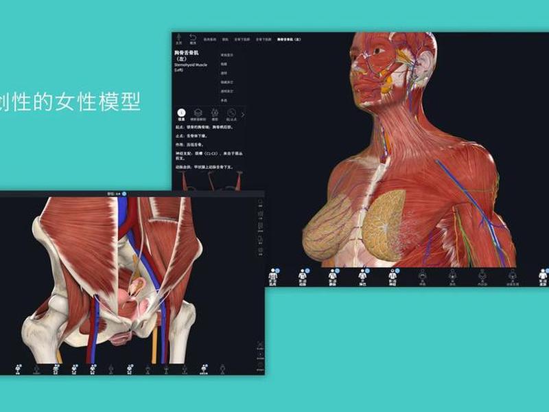complete anatomy官网下载,complete anatomy官网下载中文版 complete anatomy官网下载,complete anatomy官网下载中文版