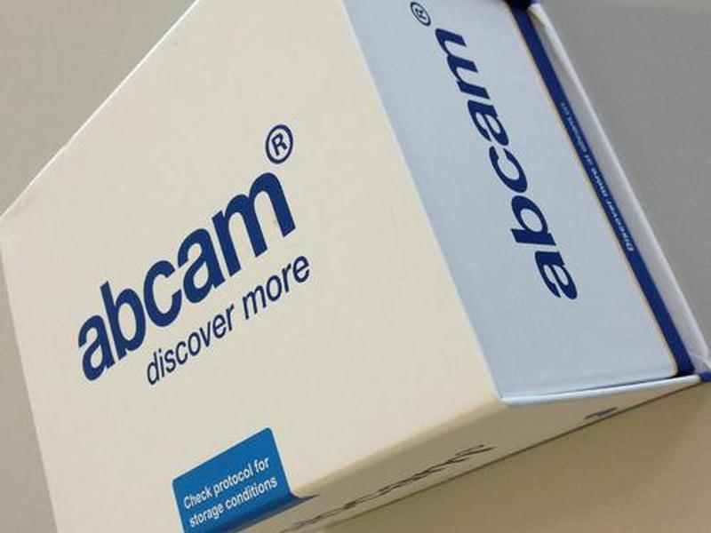 abcam代理商,abcam北京代理 abcam代理商,abcam北京代理