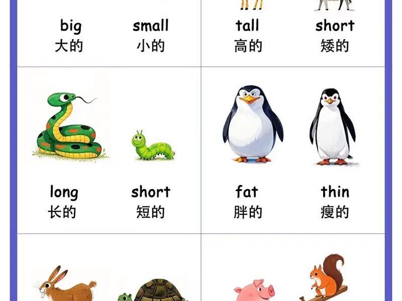 abcs站；abc站的区别