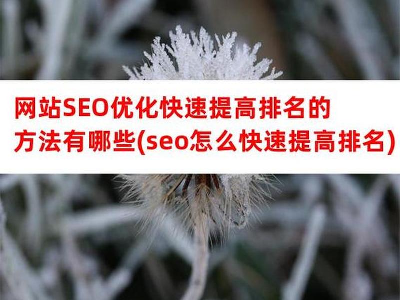seo优化快速排名 seo排名是怎么优化的 seo优化快速排名 seo排名是怎么优化的