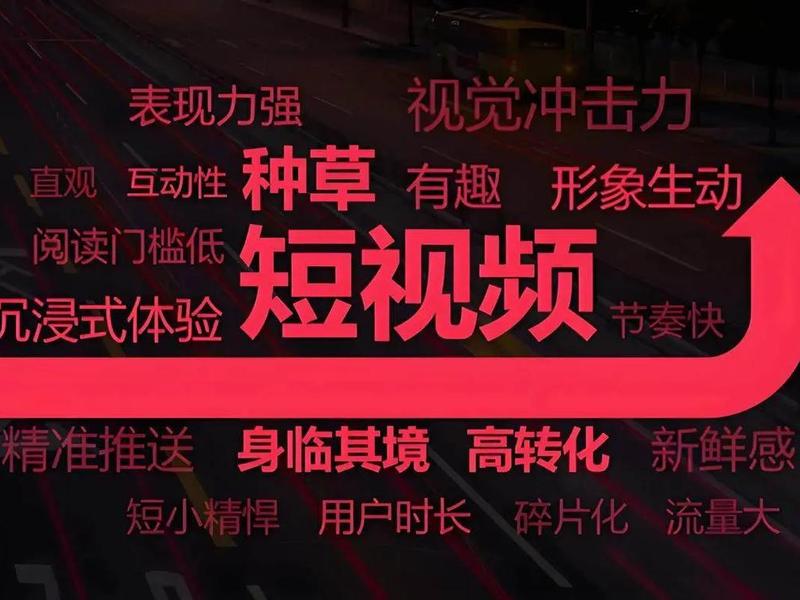 seo短视频网页入口引流骚视频、精良短视频seo