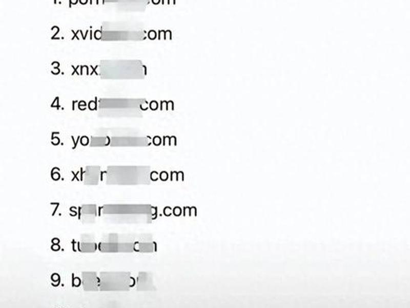 ss网黄 ss网络是啥意思