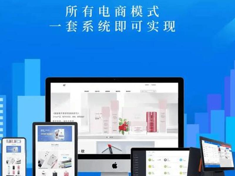 seo是什么意思电商(seo在电商中是什么意思) seo是什么意思电商(seo在电商中是什么意思)
