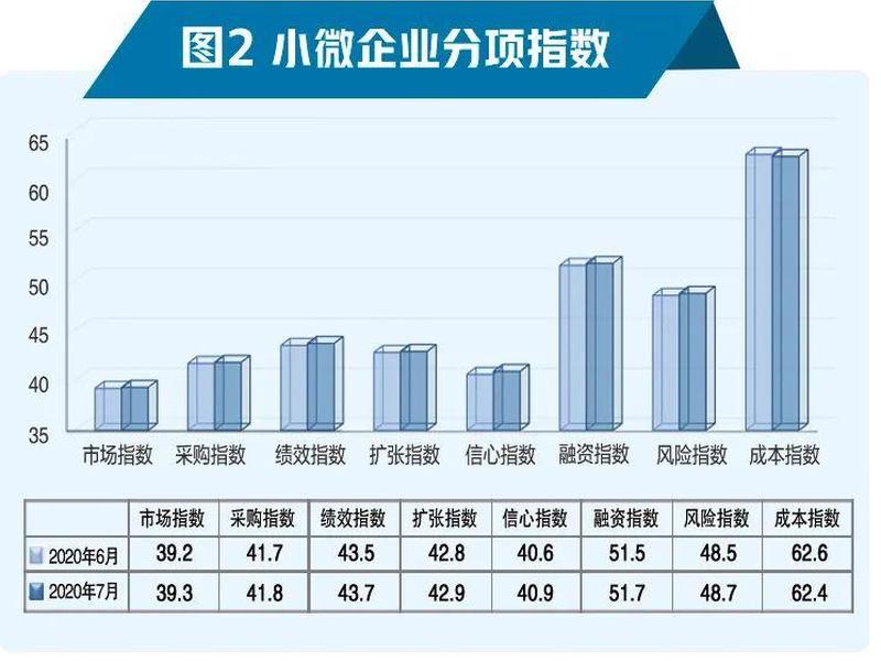 2021年小微企业查询；小微企业数量2020去哪查
