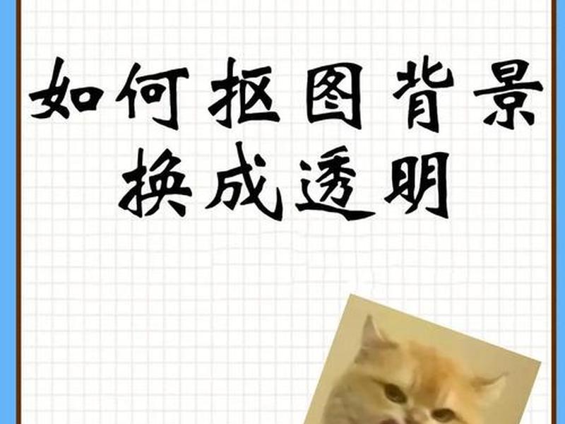ps网页版怎么做透明轮廓的(ps网页版怎么做透明轮廓的图) ps网页版怎么做透明轮廓的(ps网页版怎么做透明轮廓的图)