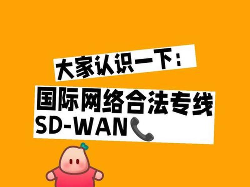 sdwan跨境专线申请流程 - 申请专线跨境联网 sdwan跨境专线申请流程 - 申请专线跨境联网
