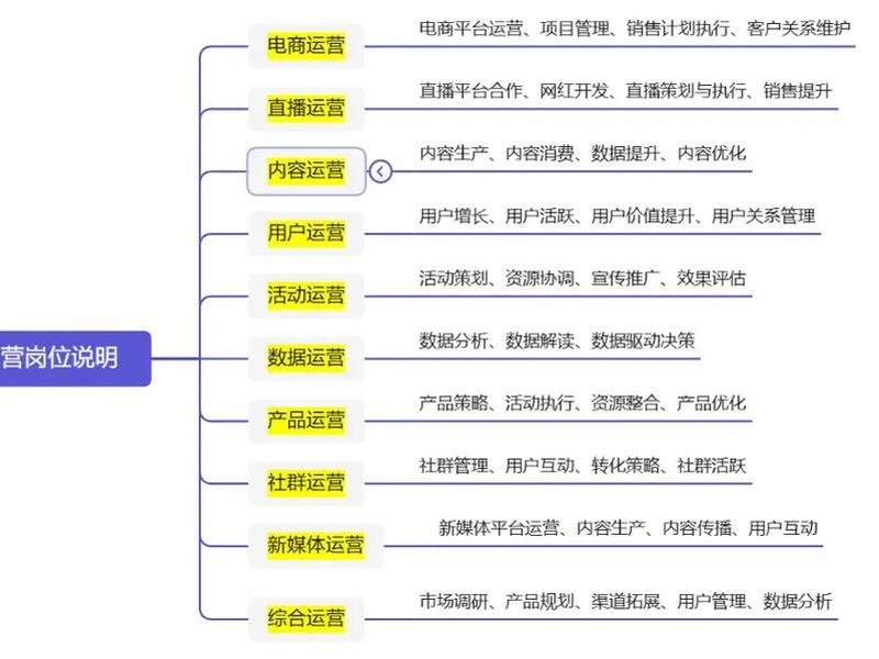 seo电商运营是什么意思、seo在电商中是什么意思