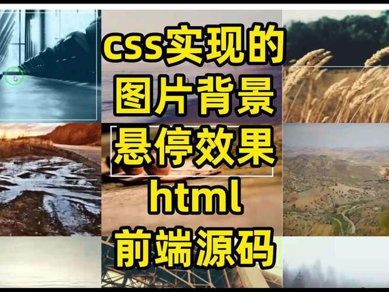html怎么引入css、html怎么引入外部css文件来编辑背景图 html怎么引入css、html怎么引入外部css文件来编辑背景图