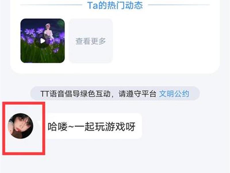 tt语音官网，tt语音官网登录
