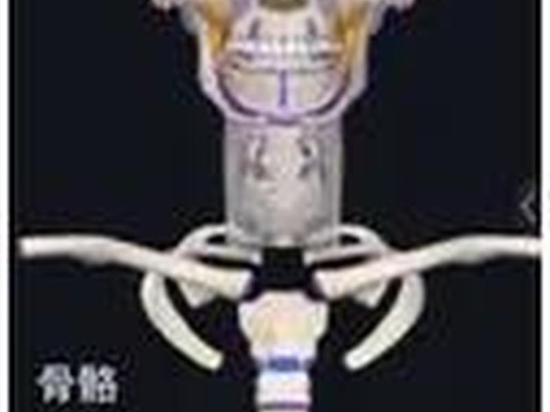complete anatomy;complete anatomy安卓版 complete anatomy;complete anatomy安卓版