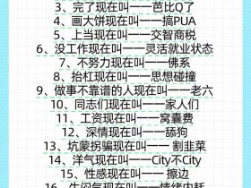 2023年度网络热词、2020-2021年度网络热词