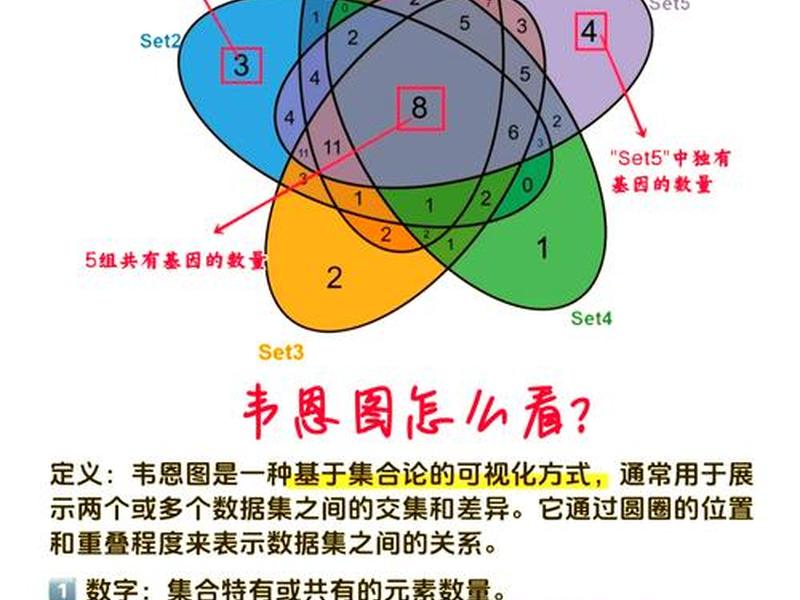 -(--n和--r的区别) -(--n和--r的区别)