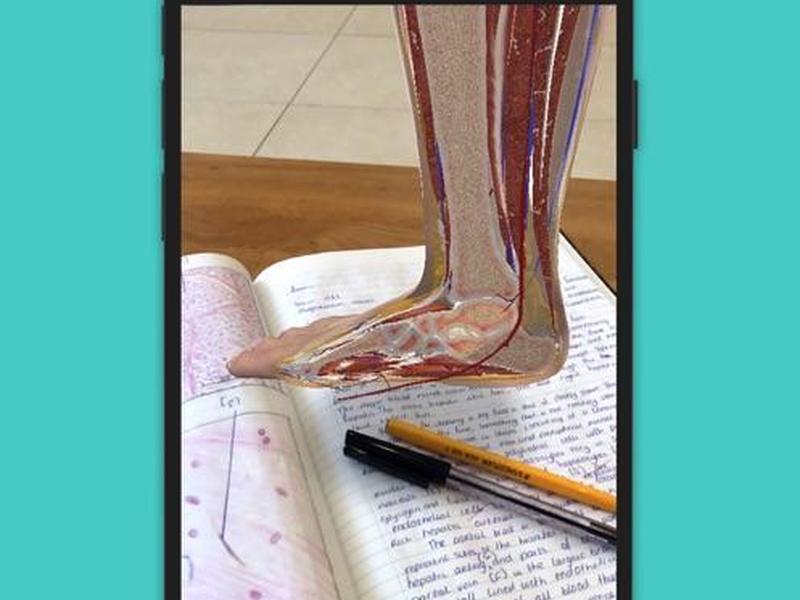 complete anatomy;complete anatomy安卓版 complete anatomy;complete anatomy安卓版