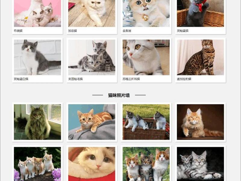 html网页设计是什么 html网页设计用什么软件