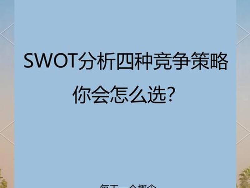 1688网站swot组合策略、1688swot分析 ppt英文 1688网站swot组合策略、1688swot分析 ppt英文