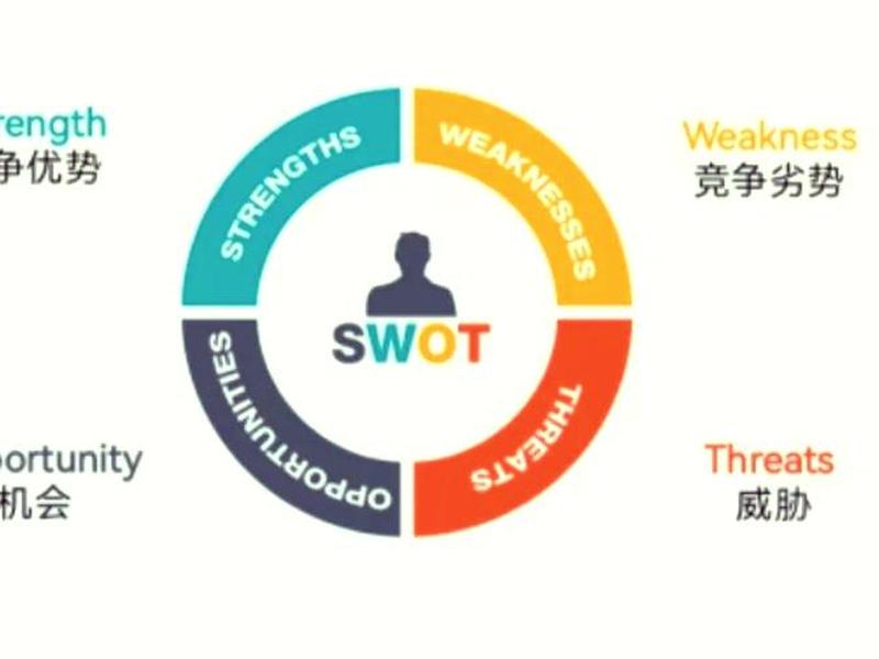 1688网站swot组合策略、1688swot分析 ppt英文 1688网站swot组合策略、1688swot分析 ppt英文