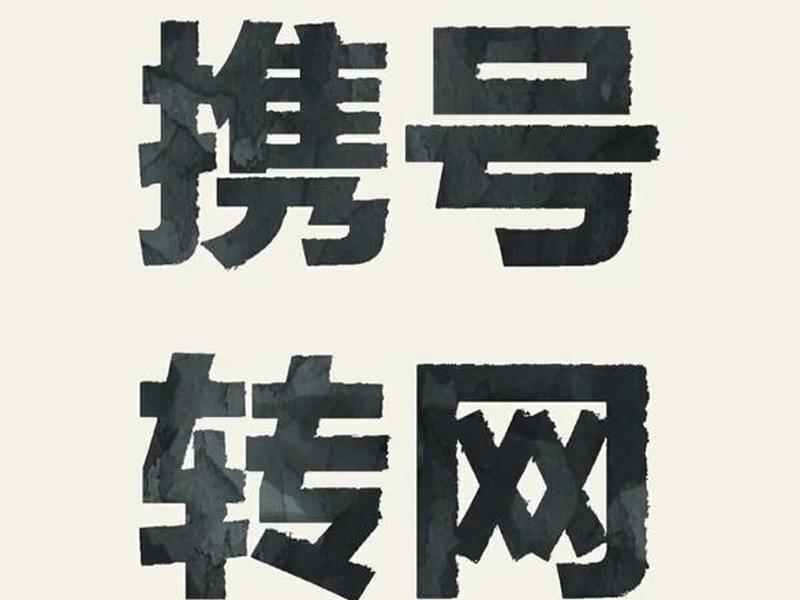 2024网络推广服务，网络推广服务包