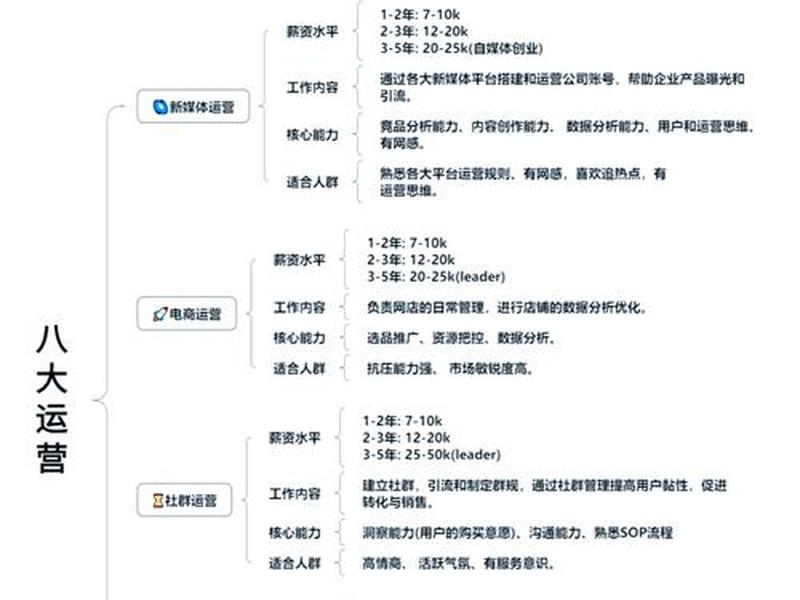 seo运营属于什么专业（seo运营属于什么专业类型）