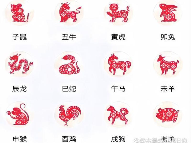 1980年属什么生肖什么命 1980年属什么生肖什么命? 1980年属什么生肖什么命 1980年属什么生肖什么命?