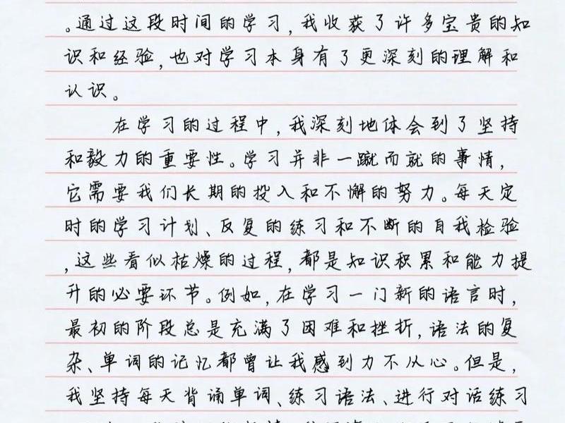 html网页制作心得体会200字（html网页设计心得体会800字）