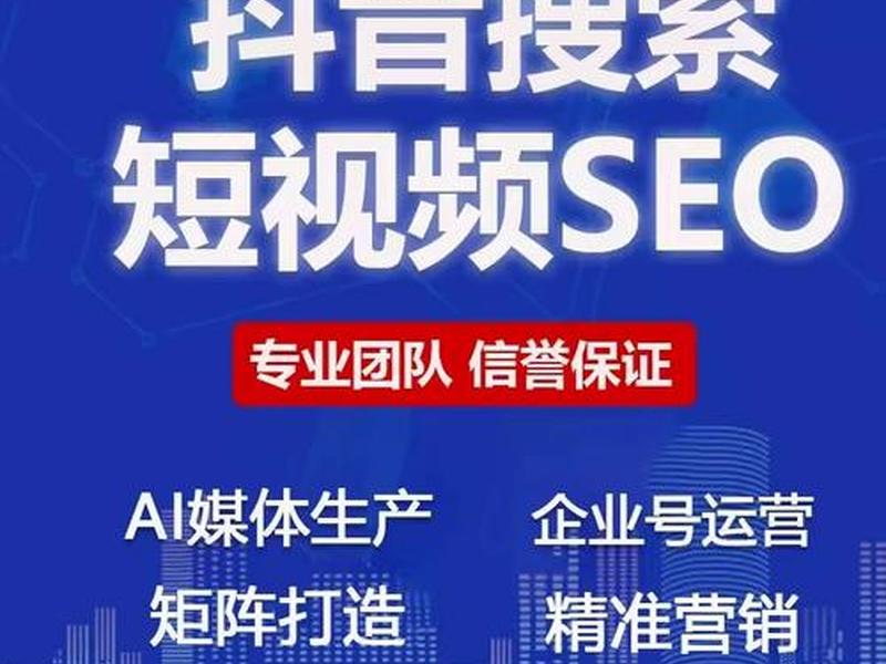 seo短视频网页版、seo短视频网页版官网
