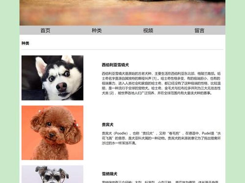 web前端开发期末作品怎么写(web前端开发期末作业作品) web前端开发期末作品怎么写(web前端开发期末作业作品)