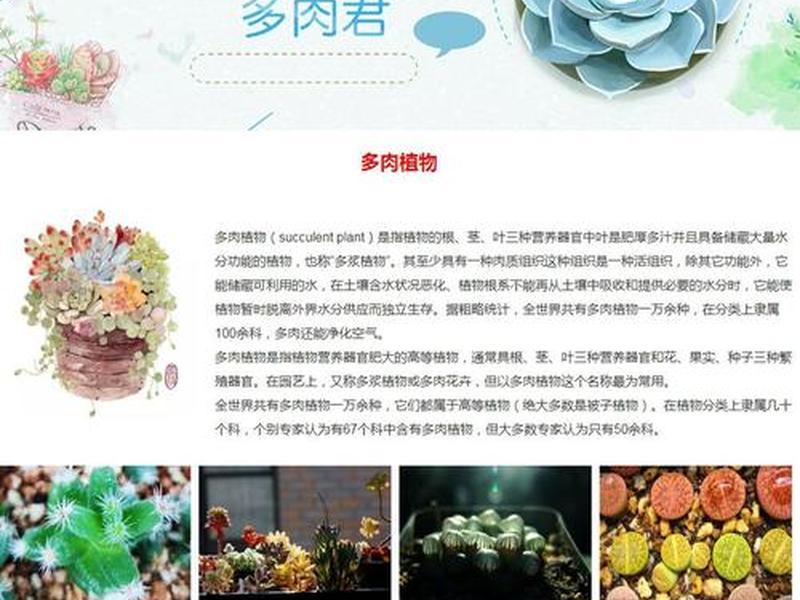 dw网页设计代码大全免费下载、dw网页设计作品免费下载