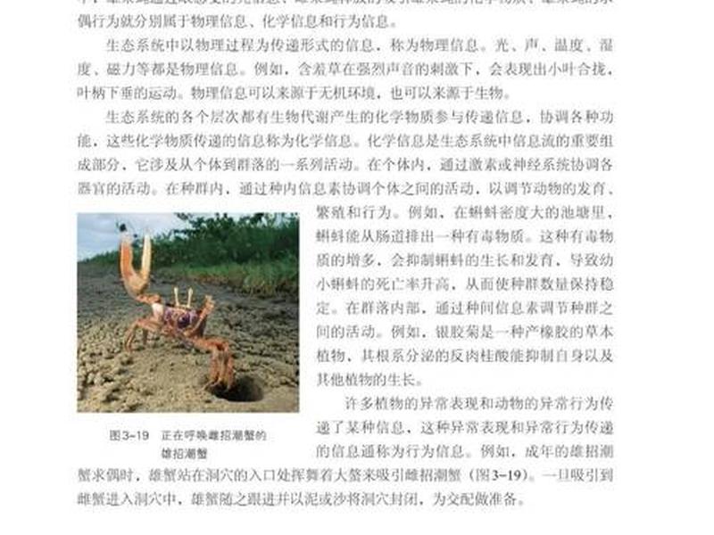 b站有没有浙江版的高中生物讲课;浙江省高中生物教材用的什么版 b站有没有浙江版的高中生物讲课;浙江省高中生物教材用的什么版
