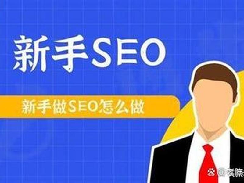 seo新手快速入门、seo新手快速入门方法 seo新手快速入门、seo新手快速入门方法