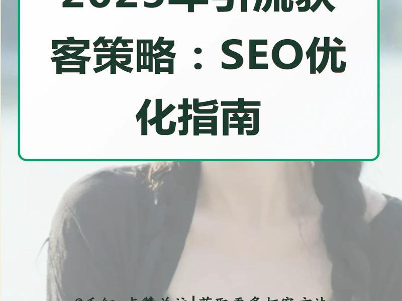 seo营销新模式推广引流视频、seo营销新模式推广引流视频怎么做