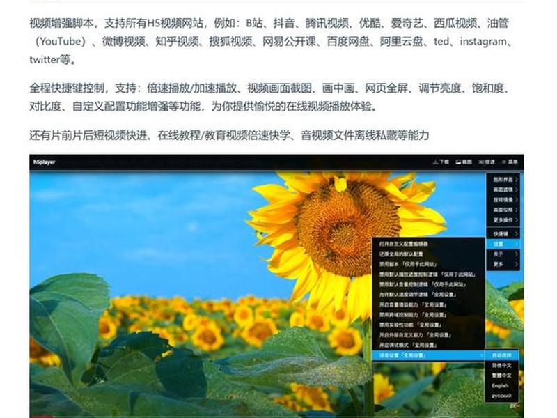 html 视频;html 视频播放密码 html 视频;html 视频播放密码