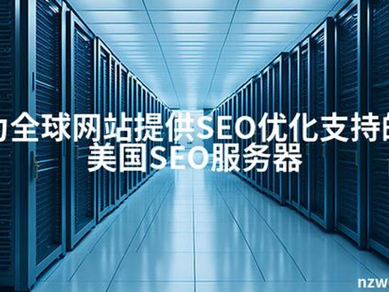 seo 服务器，seo是哪里的服务器