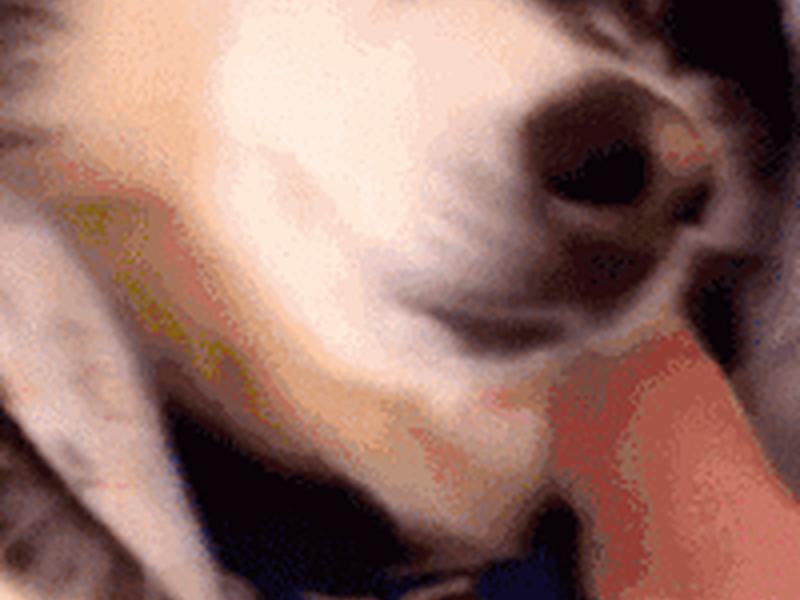 b站怎么制作gif(b站怎么制作gif动图) b站怎么制作gif(b站怎么制作gif动图)
