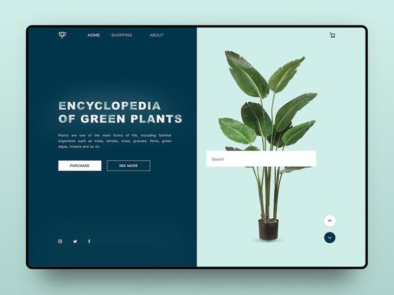 dribbble设计效果好吗；dribbble设计网站官网