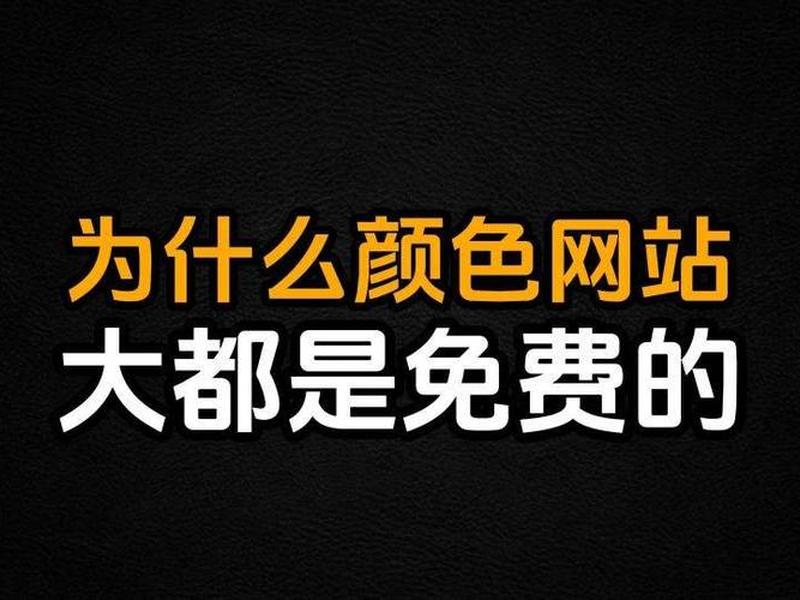 ss网黄 ss网络是啥意思