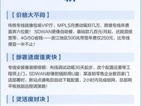 sdwan跨境专线的优缺点，跨境专线物流的优劣势